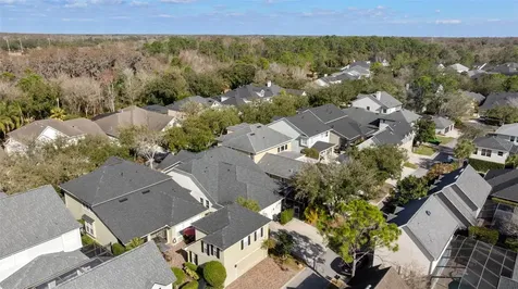 14680 Canopy Drive Tampa FL 33626