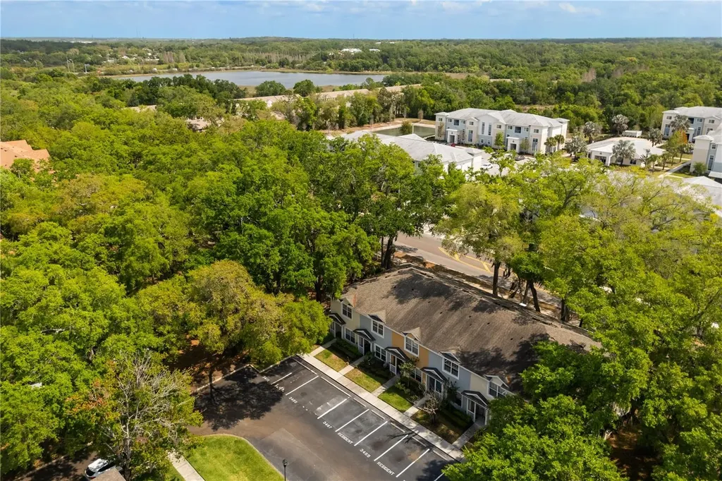 3471 High Hampton Circle Tampa FL 33610