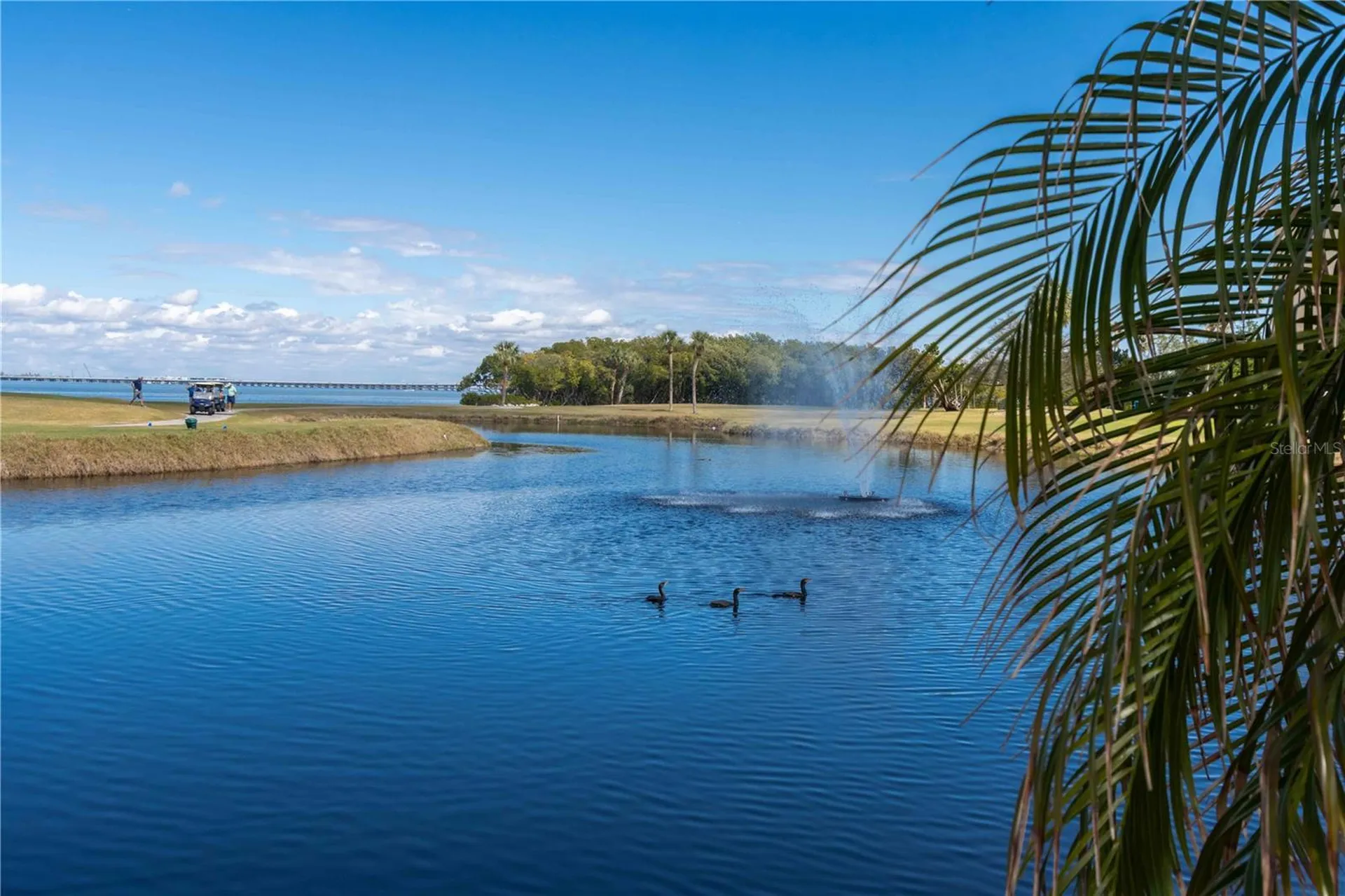 2621 Cove Cay Drive Clearwater FL 33760