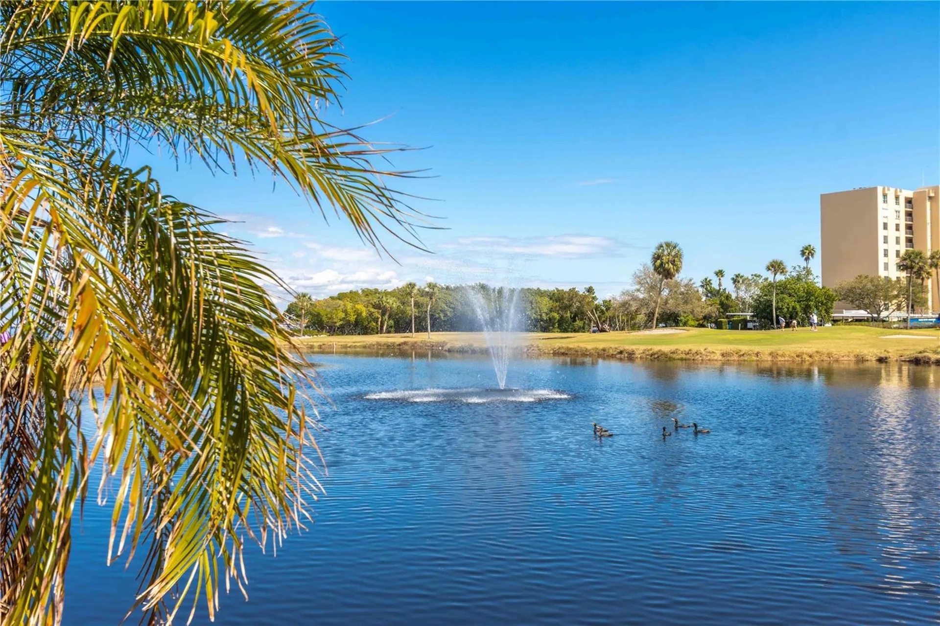 2621 Cove Cay Drive Clearwater FL 33760