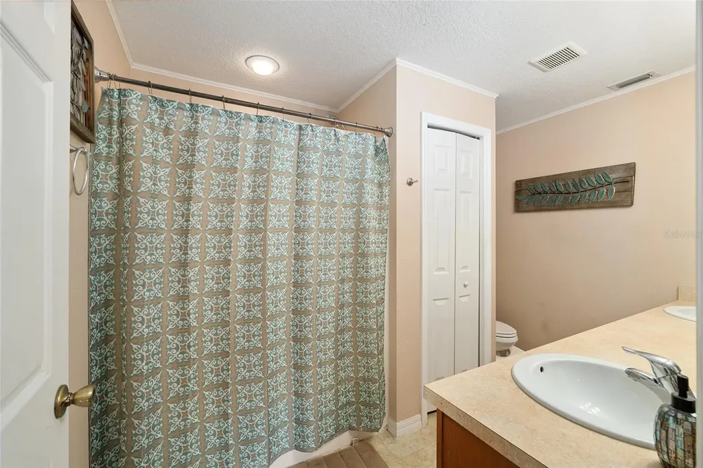 808 Chelsea Avenue Fruitland Park FL 34731