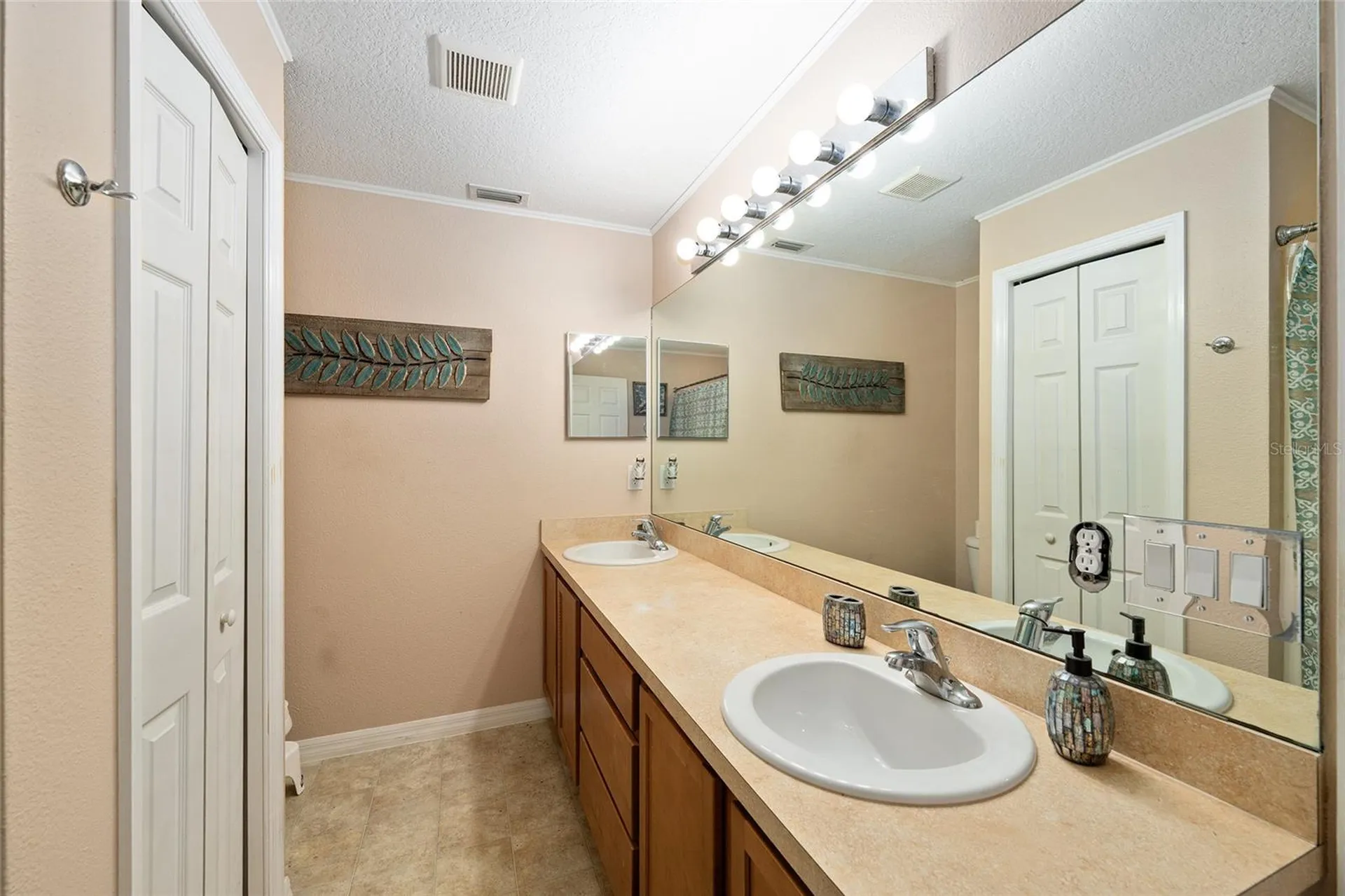 808 Chelsea Avenue Fruitland Park FL 34731