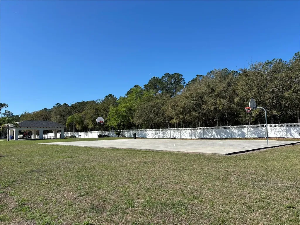 5128 Hartwell Loop Land O Lakes FL 34638