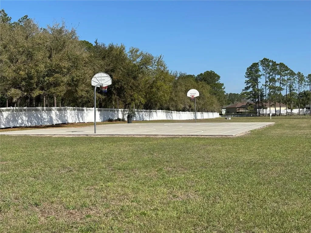 5128 Hartwell Loop Land O Lakes FL 34638