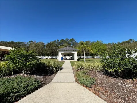 5128 Hartwell Loop Land O Lakes FL 34638