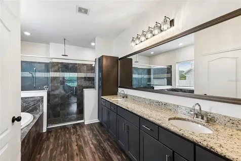 8245 Olive Brook Drive Wesley Chapel FL 33545