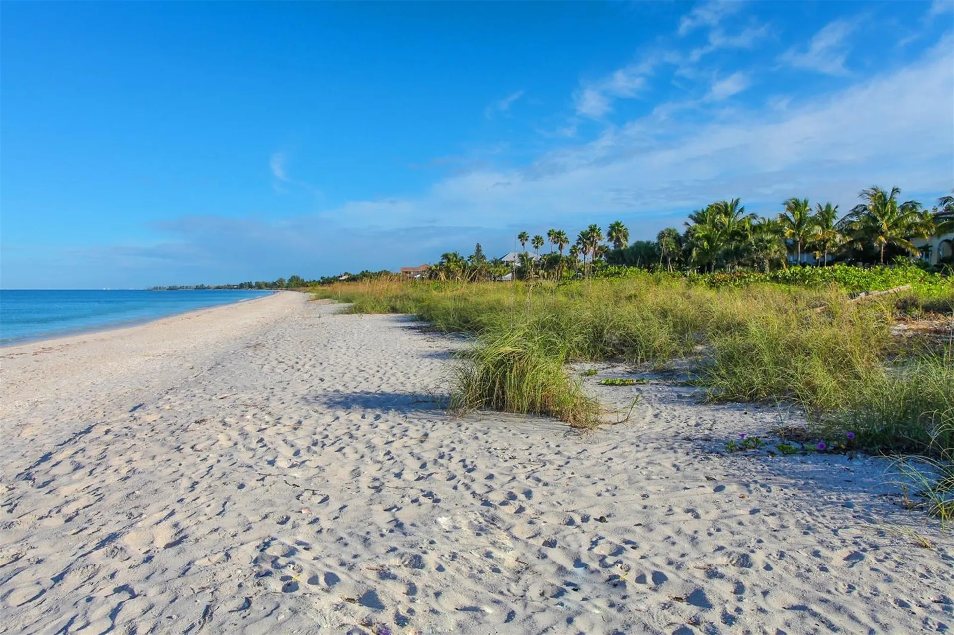 1140 Beachcomber Court Osprey FL 34229