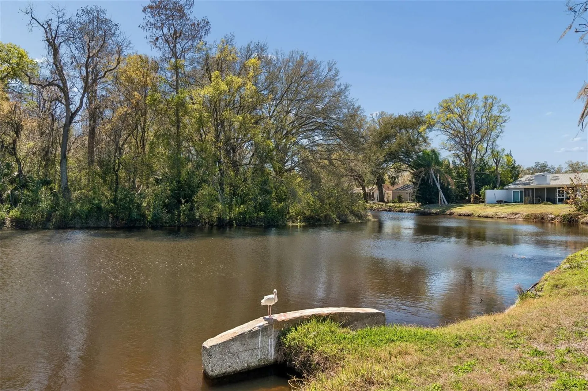 9930 Nicklaus Drive New Port Richey FL 34655