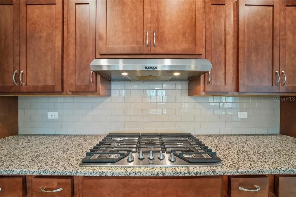 10252 SW 96th Loop Ocala FL 34481