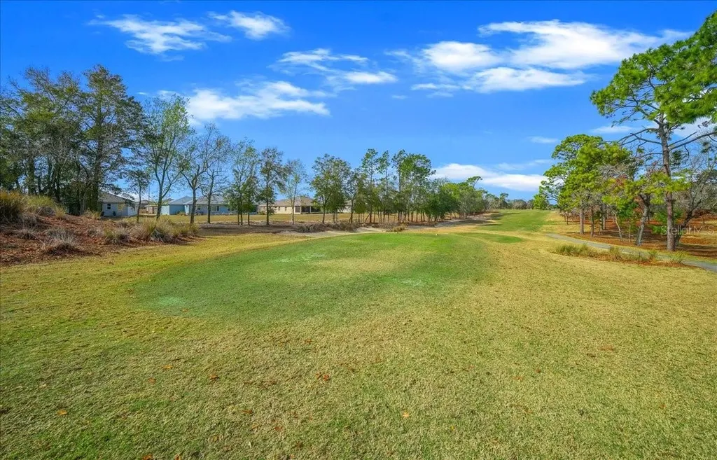 10252 SW 96th Loop Ocala FL 34481