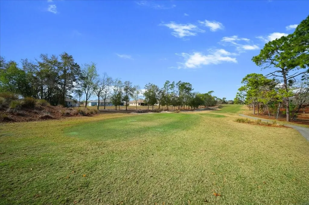 10252 SW 96th Loop Ocala FL 34481