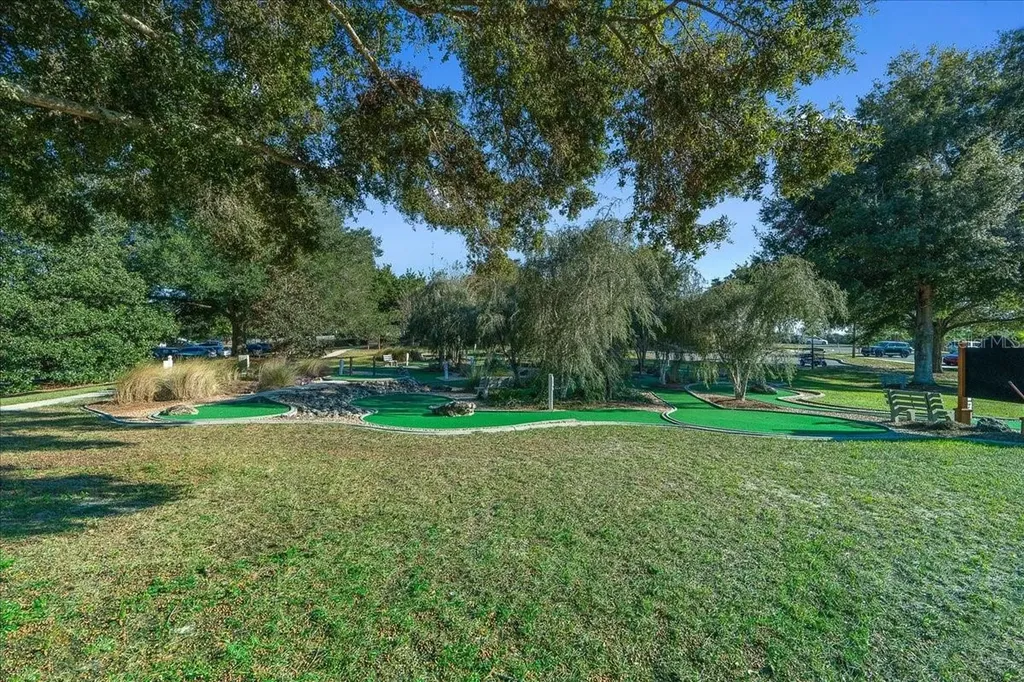 10252 SW 96th Loop Ocala FL 34481