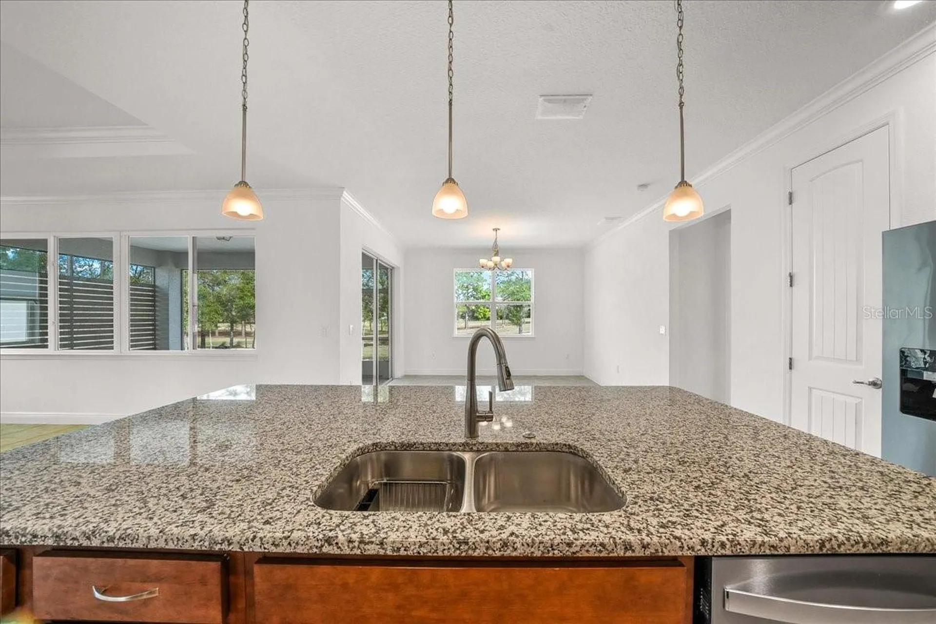 10252 SW 96th Loop Ocala FL 34481