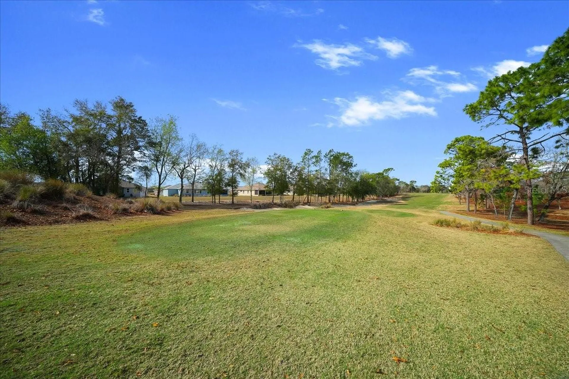 10252 SW 96th Loop Ocala FL 34481
