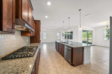 10252 SW 96th Loop Ocala FL 34481