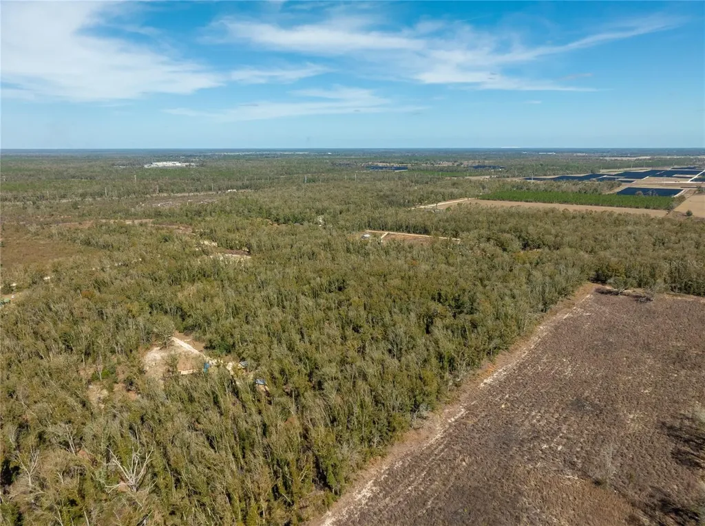 , Live Oak FL 32060