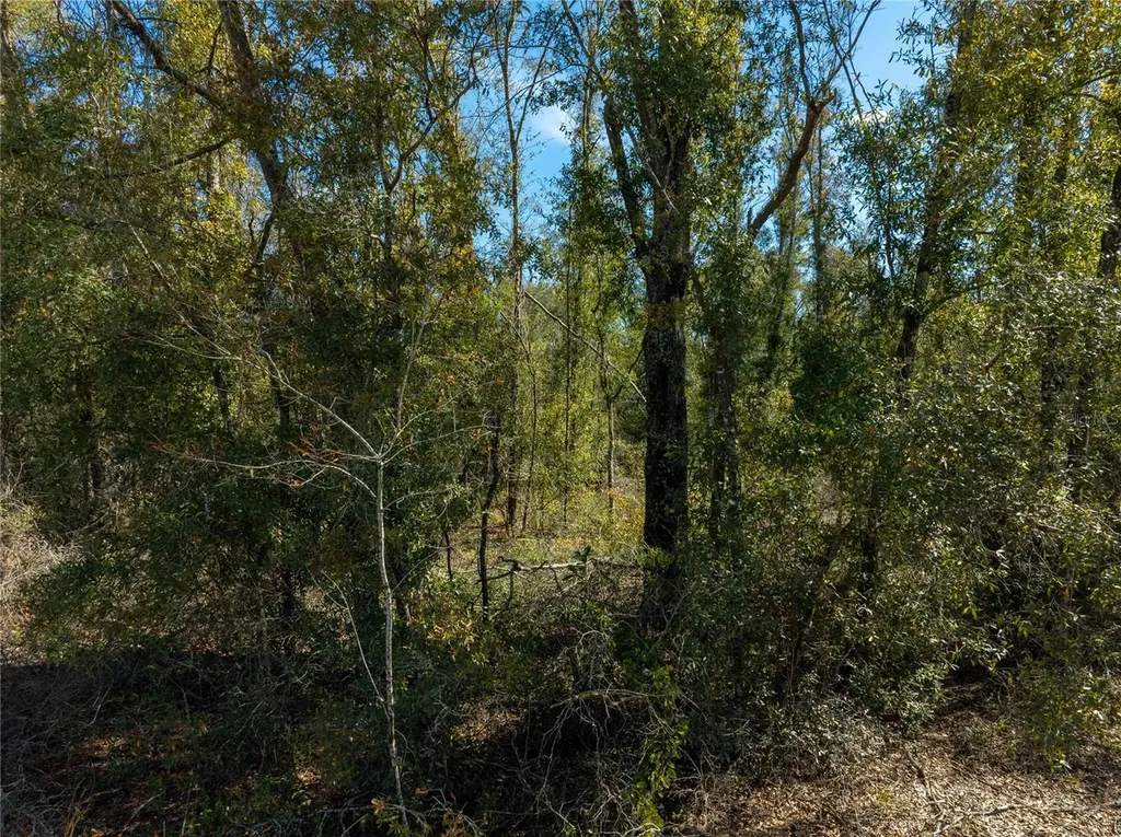 , Live Oak FL 32060