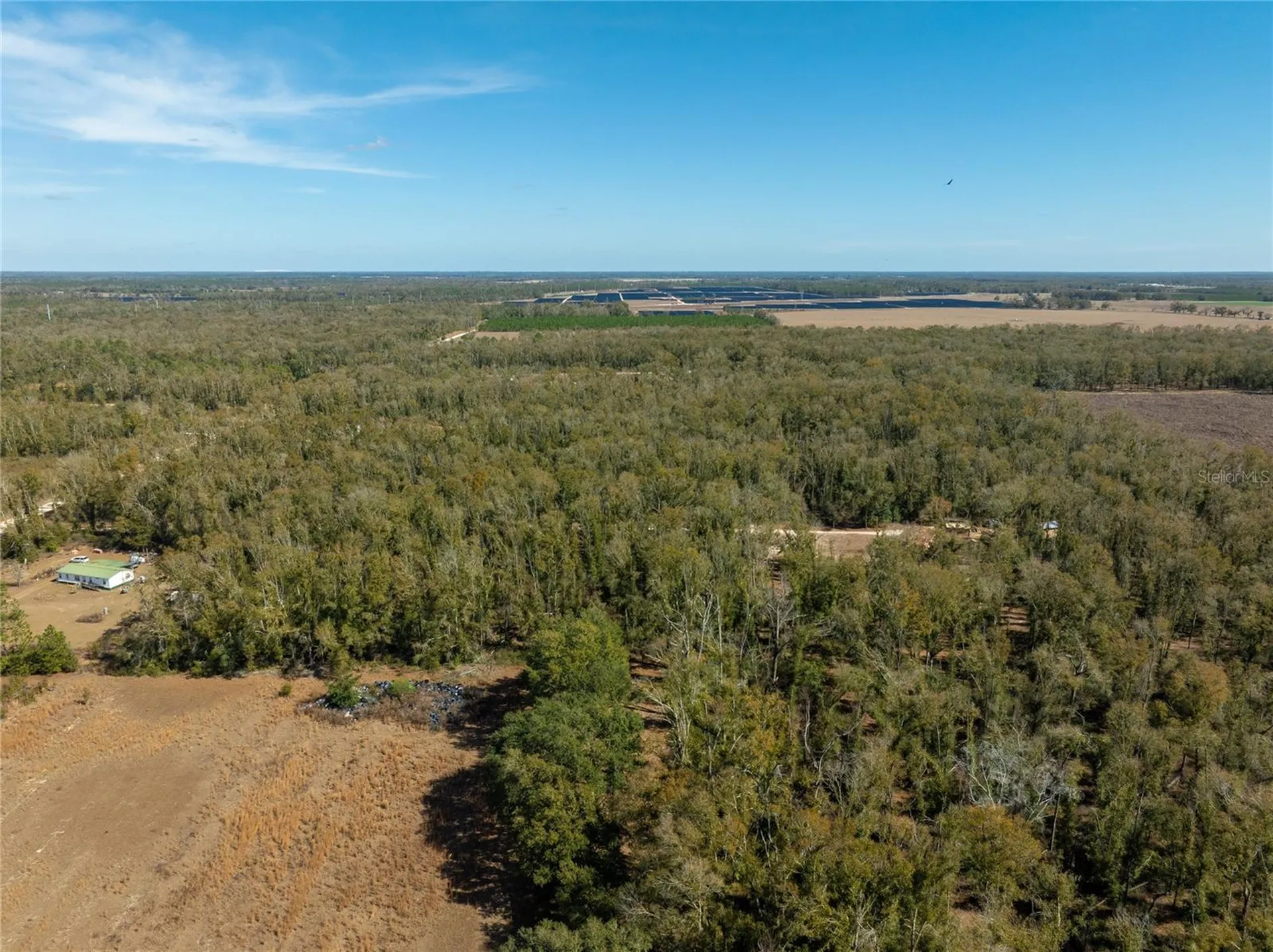 , Live Oak FL 32060