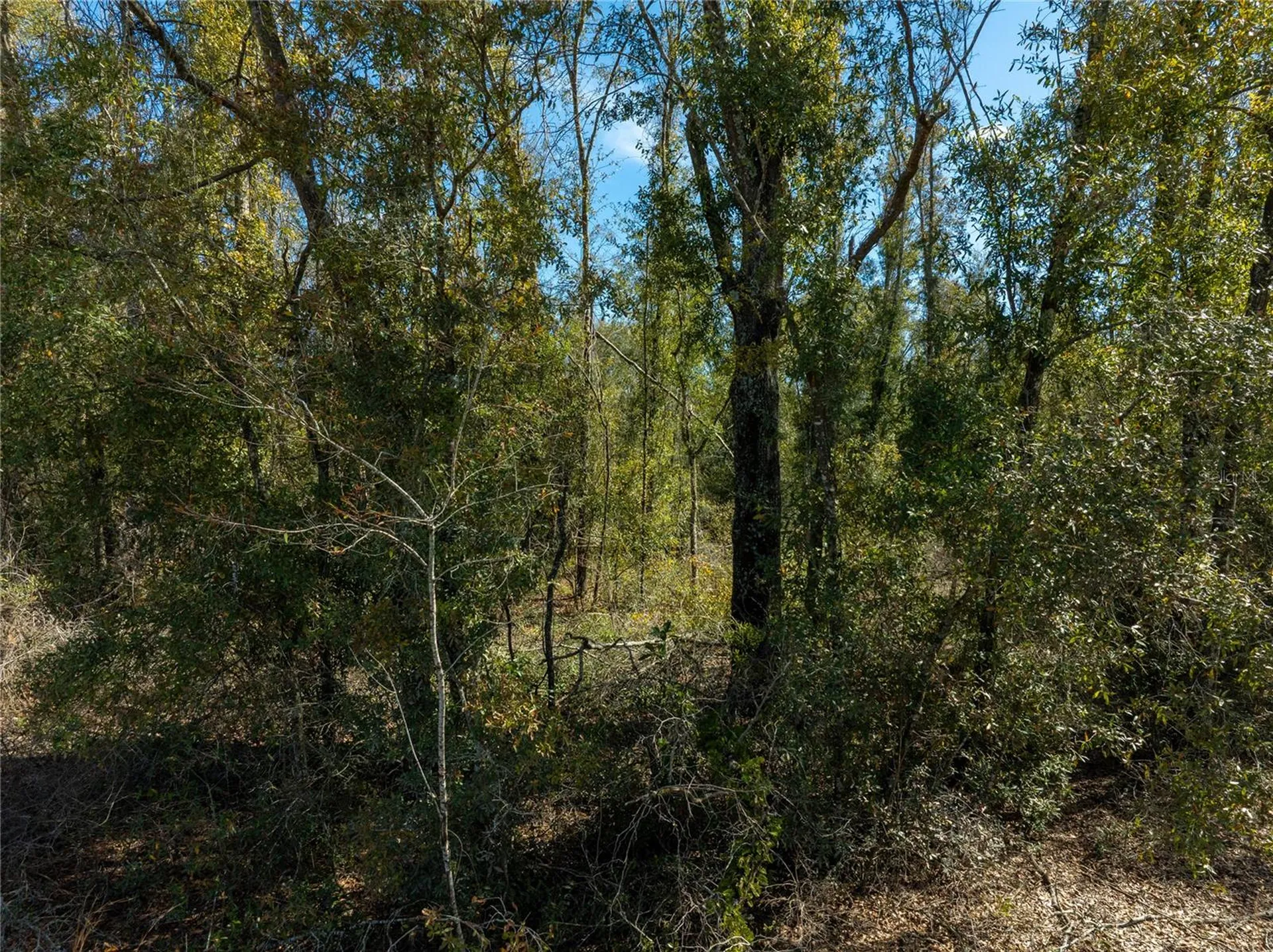 , Live Oak FL 32060