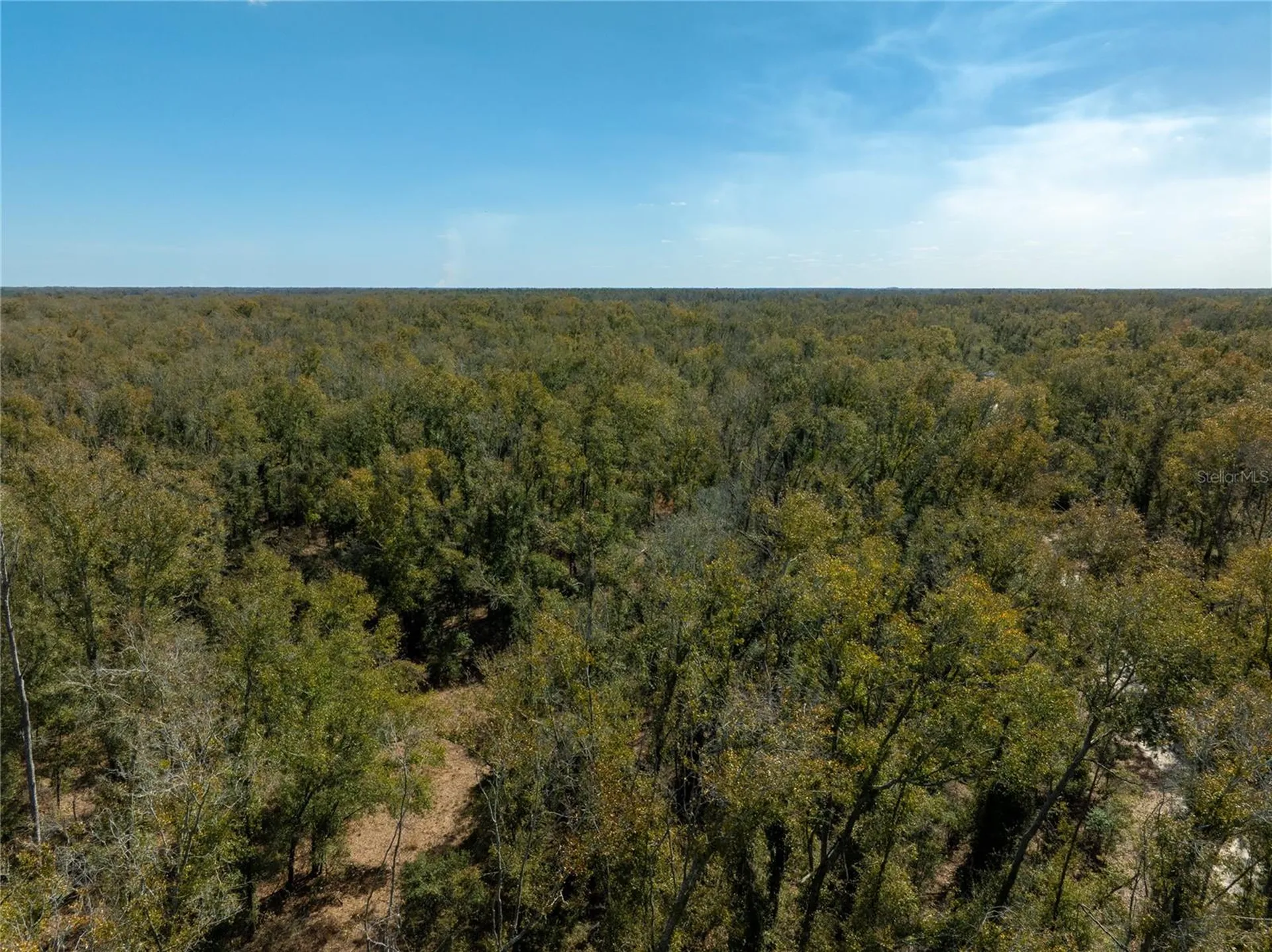 , Live Oak FL 32060
