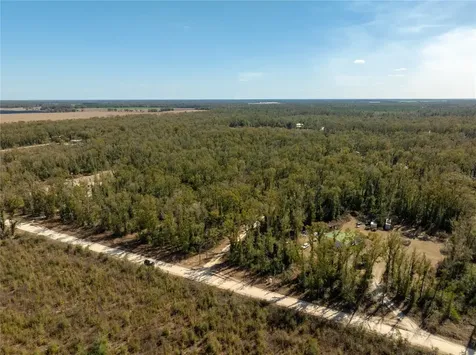 , Live Oak FL 32060