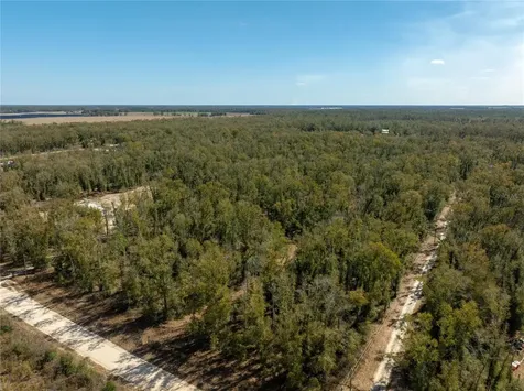 , Live Oak FL 32060