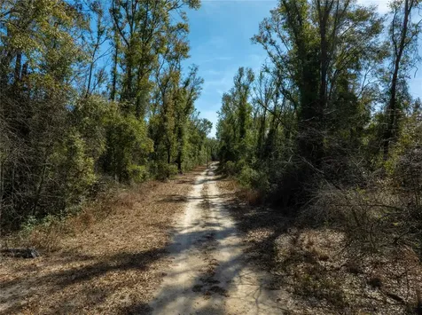 , Live Oak FL 32060