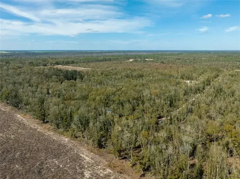 , Live Oak FL 32060