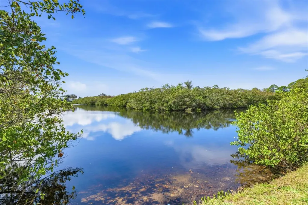 455 Alt 19 S Palm Harbor FL 34683