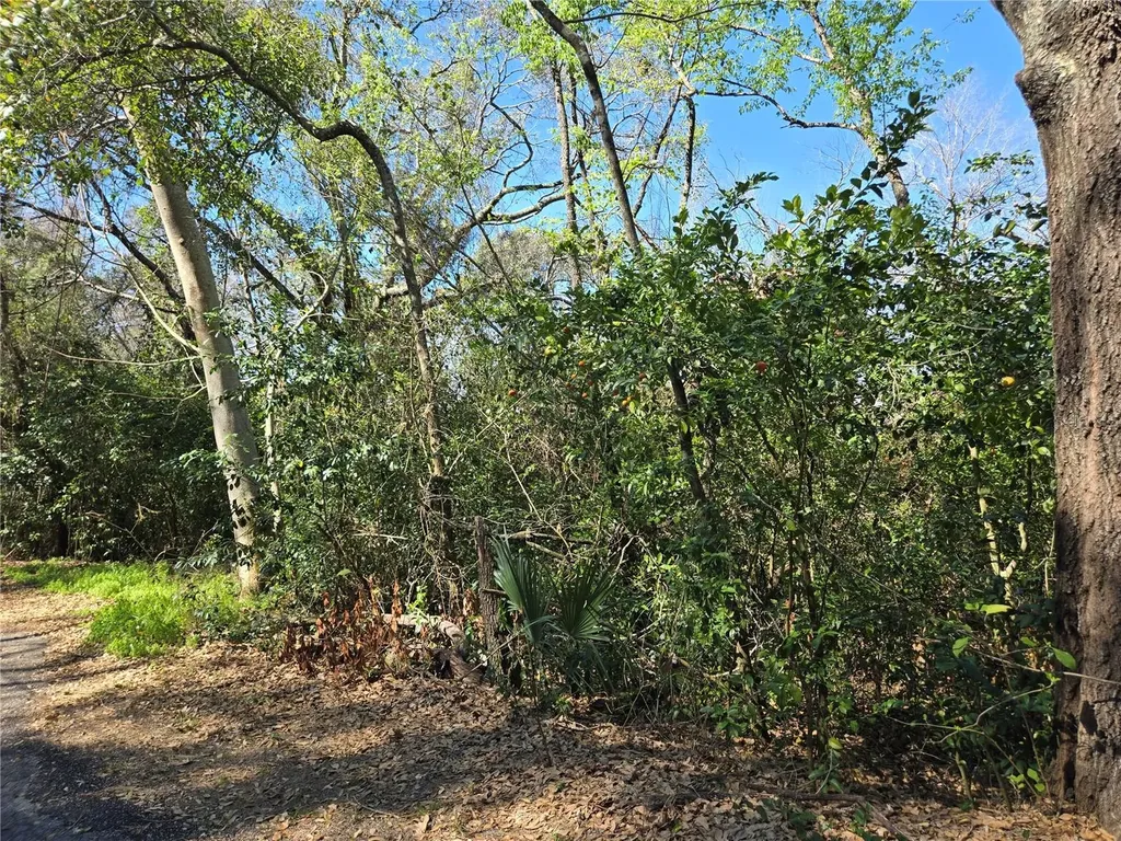0 Magnolia Creek Lane Montverde FL 34756