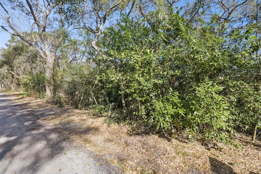 0 Magnolia Creek Lane Montverde FL 34756