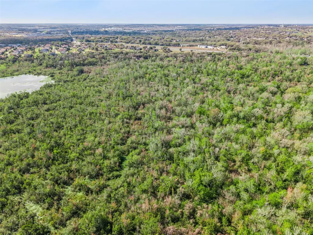 0 Magnolia Creek Lane Montverde FL 34756