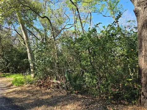 000 Magnolia Creek Lane Montverde FL 34756
