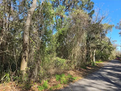 000 Magnolia Creek Lane Montverde FL 34756
