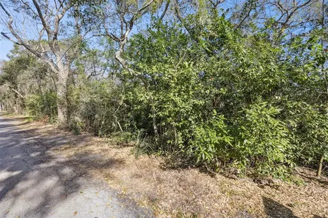 0 Magnolia Creek Lane Montverde FL 34756