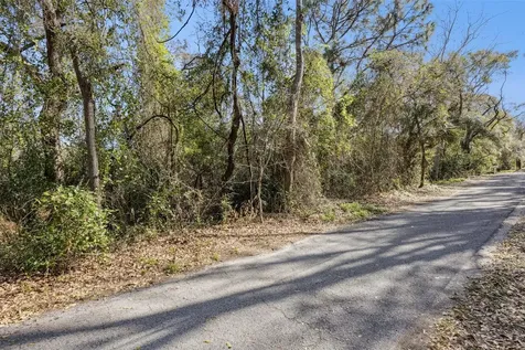 0 Magnolia Creek Lane Montverde FL 34756