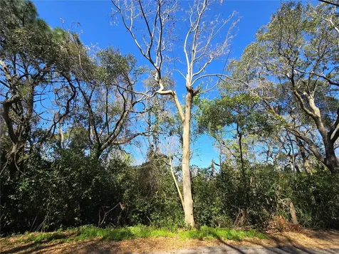 000 Magnolia Creek Lane Montverde FL 34756