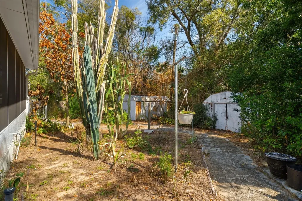 1007 Lantana Drive Eustis FL 32726