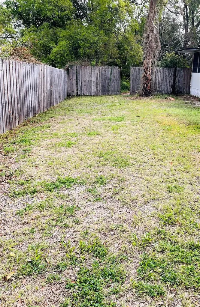 1007 Lantana Drive Eustis FL 32726