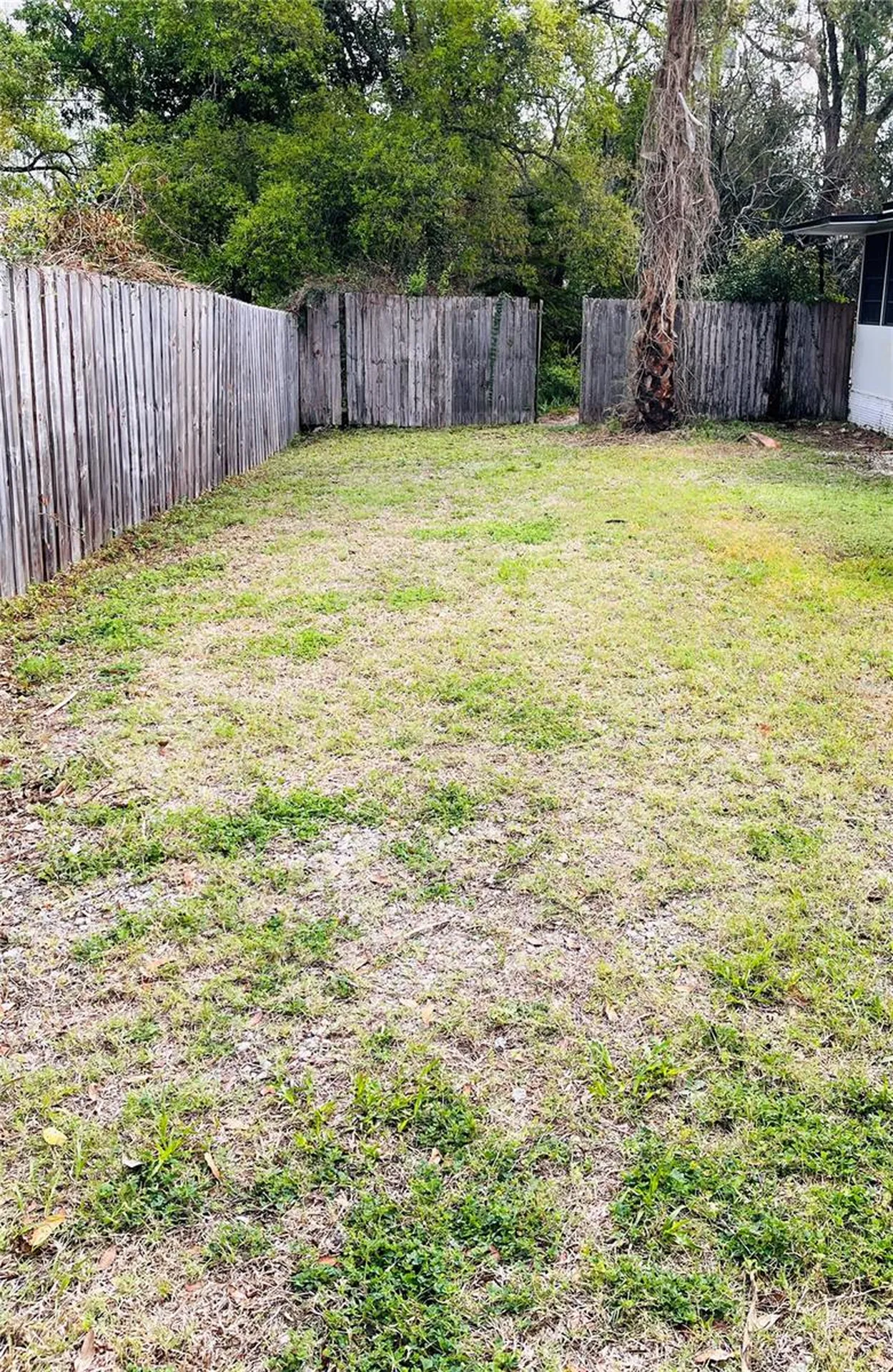 1007 Lantana Drive Eustis FL 32726