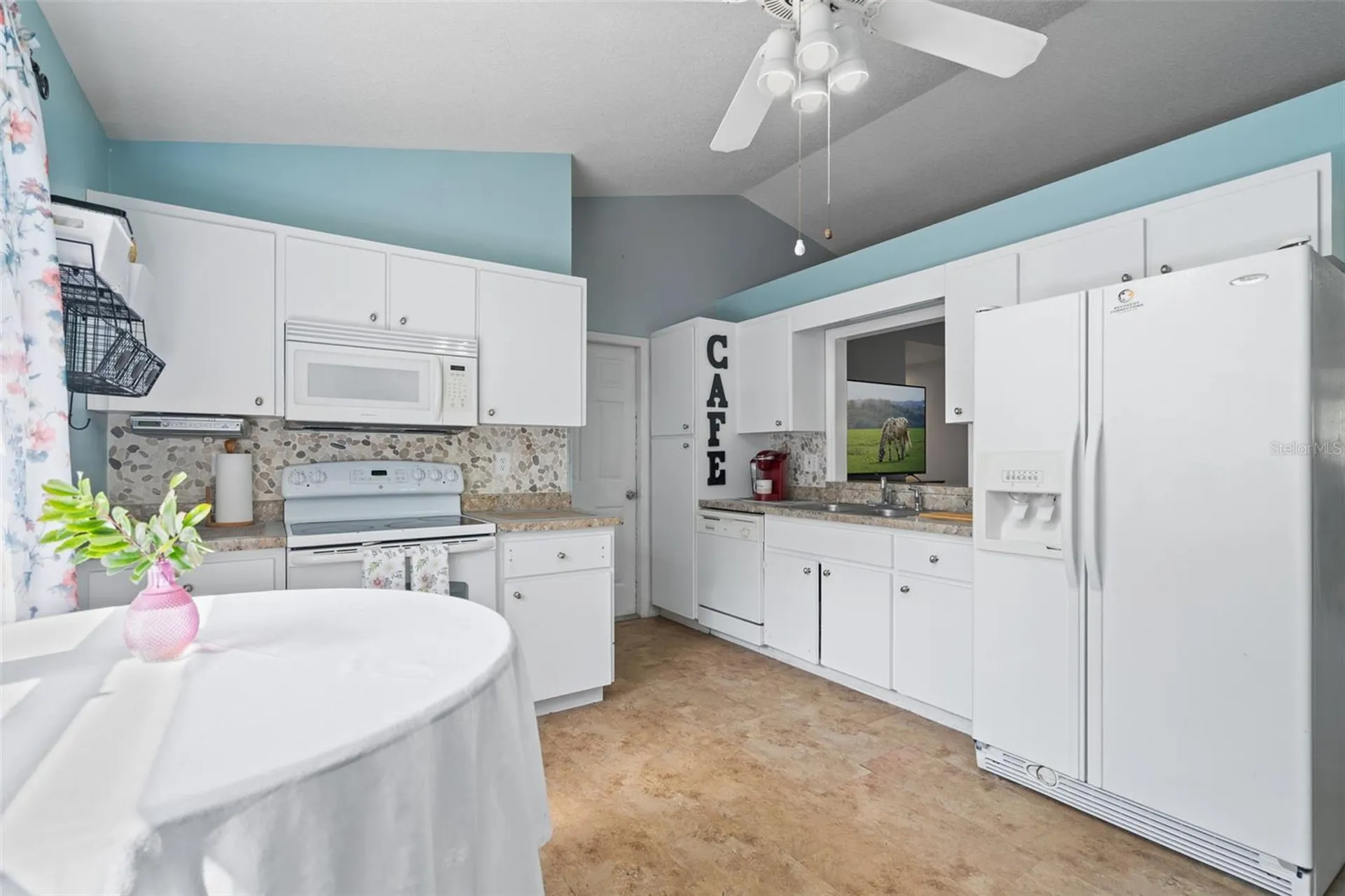 1007 Lantana Drive Eustis FL 32726
