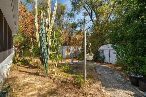 1007 Lantana Drive Eustis FL 32726