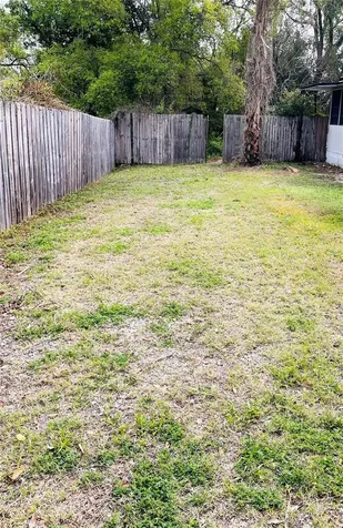 1007 Lantana Drive Eustis FL 32726