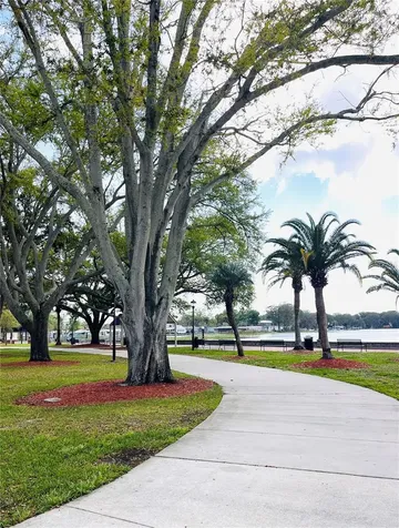 1007 Lantana Drive Eustis FL 32726