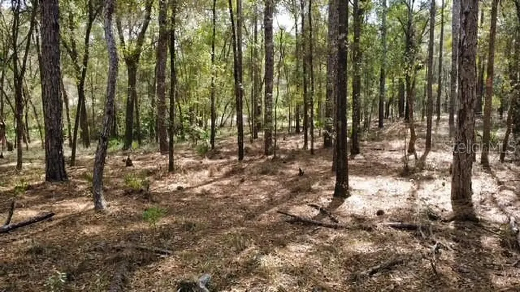 SW 73 Loop Dunnellon FL 34432