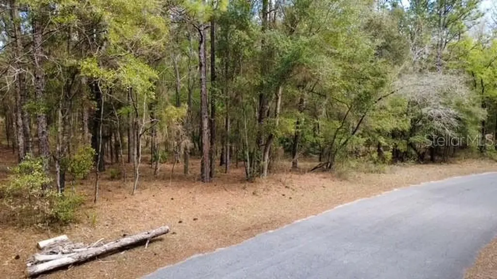 SW 73 Loop Dunnellon FL 34432