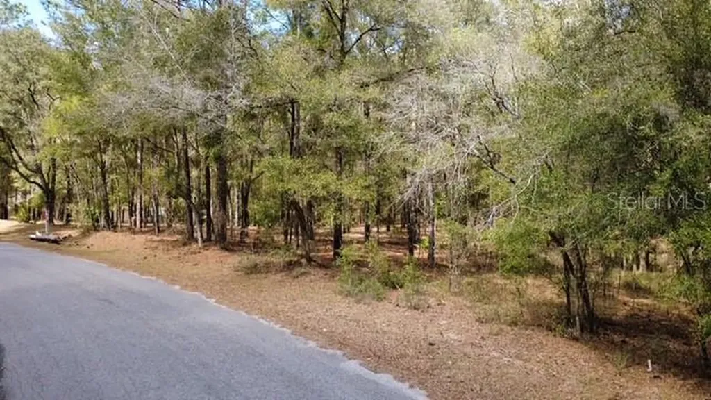 SW 73 Loop Dunnellon FL 34432