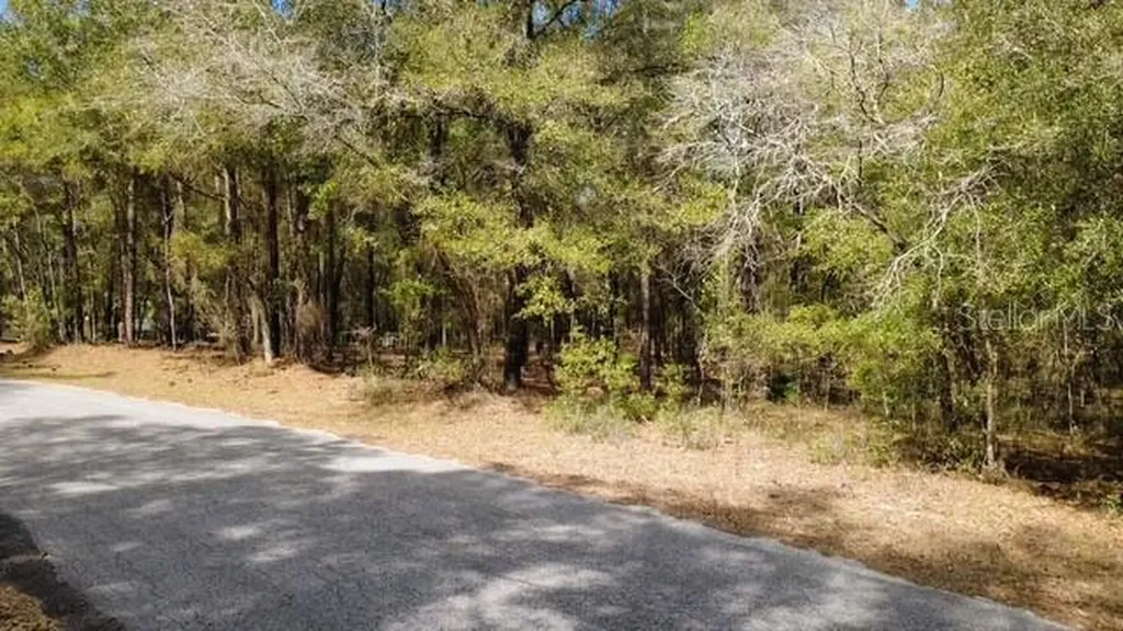 SW 73 Loop Dunnellon FL 34432