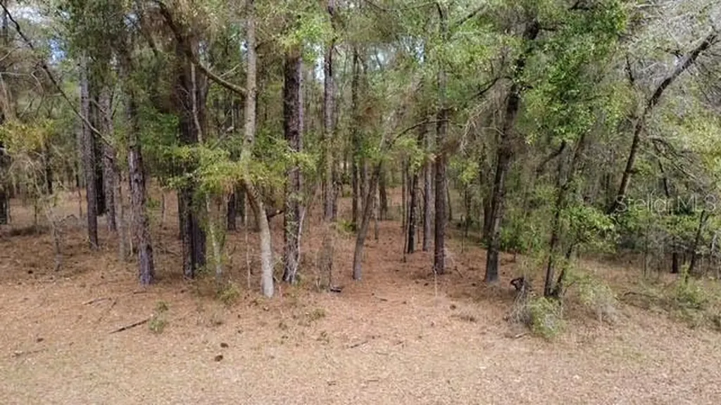 SW 73 Loop Dunnellon FL 34432