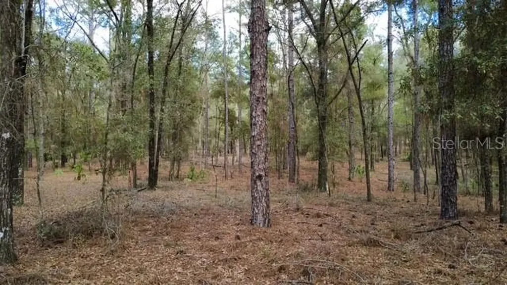 SW 73 Loop Dunnellon FL 34432
